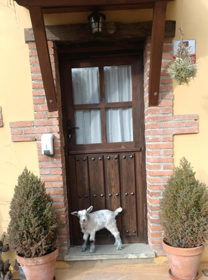 Carroceu Rural Apartment Cangas de Onis Bagian luar foto